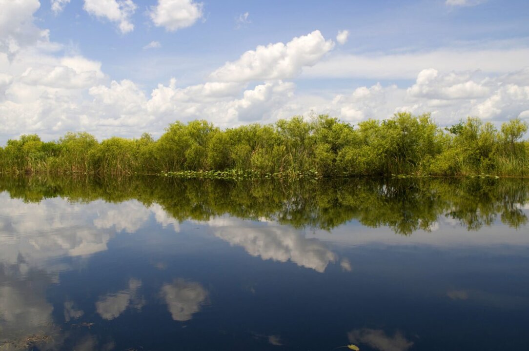 Florida Opens Massive Water Storage Reservoir to Aid Everglades