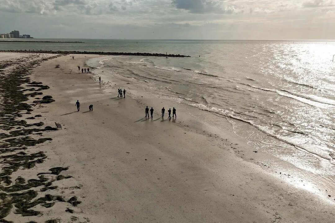 Flesh-Eating Bacteria Outbreak Claims Four Lives in Florida