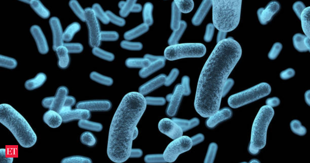 Flesh‑Eating Bacteria Claims Four Lives in Florida