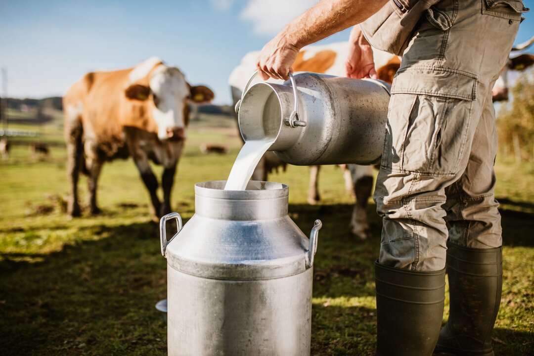 Florida Farm Linked to Raw Milk Illness Outbreak