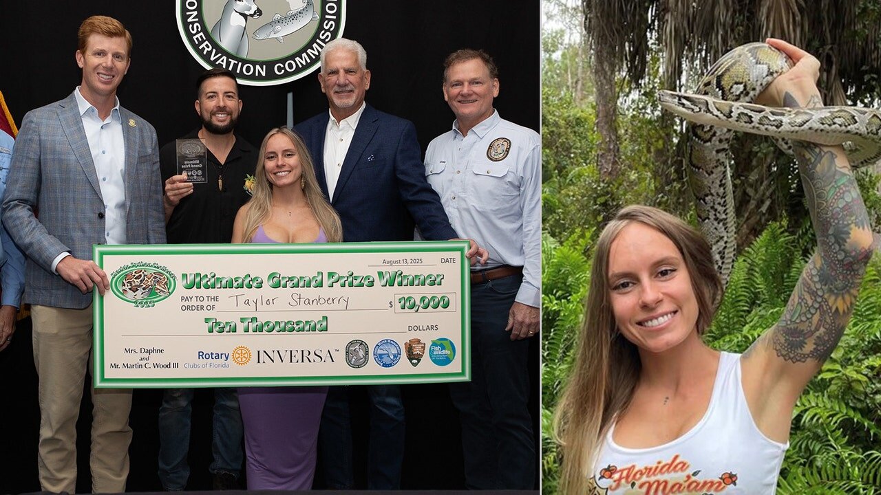 Record Python Haul as Woman Wins 2025 Florida Python Challenge