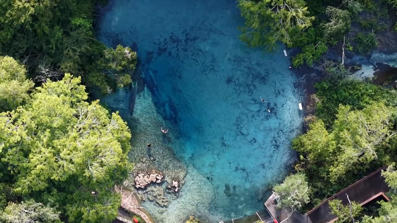 Florida’s Natural Springs Threatened by Pollution and Climate Change