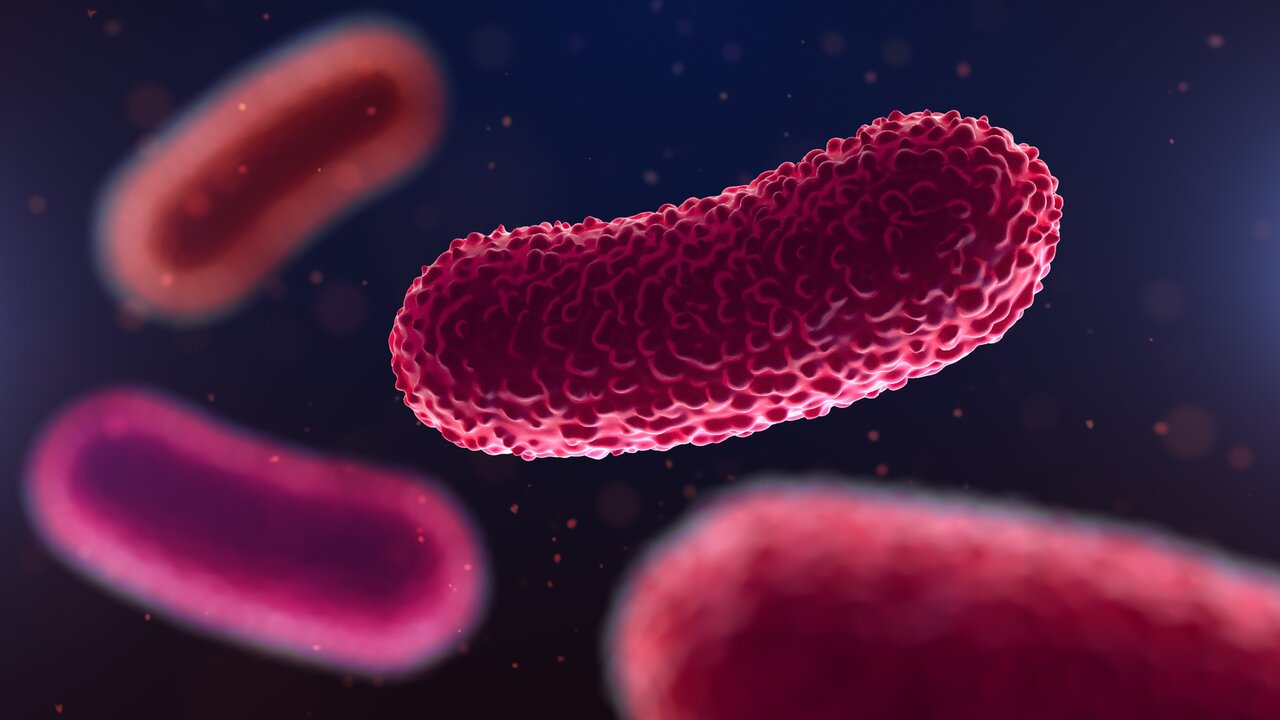 Flesh-Eating Bacteria Cases Rise in Florida