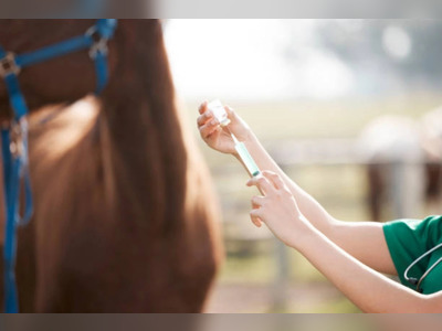 Florida Authorizes Veterinary Use of Xylazine