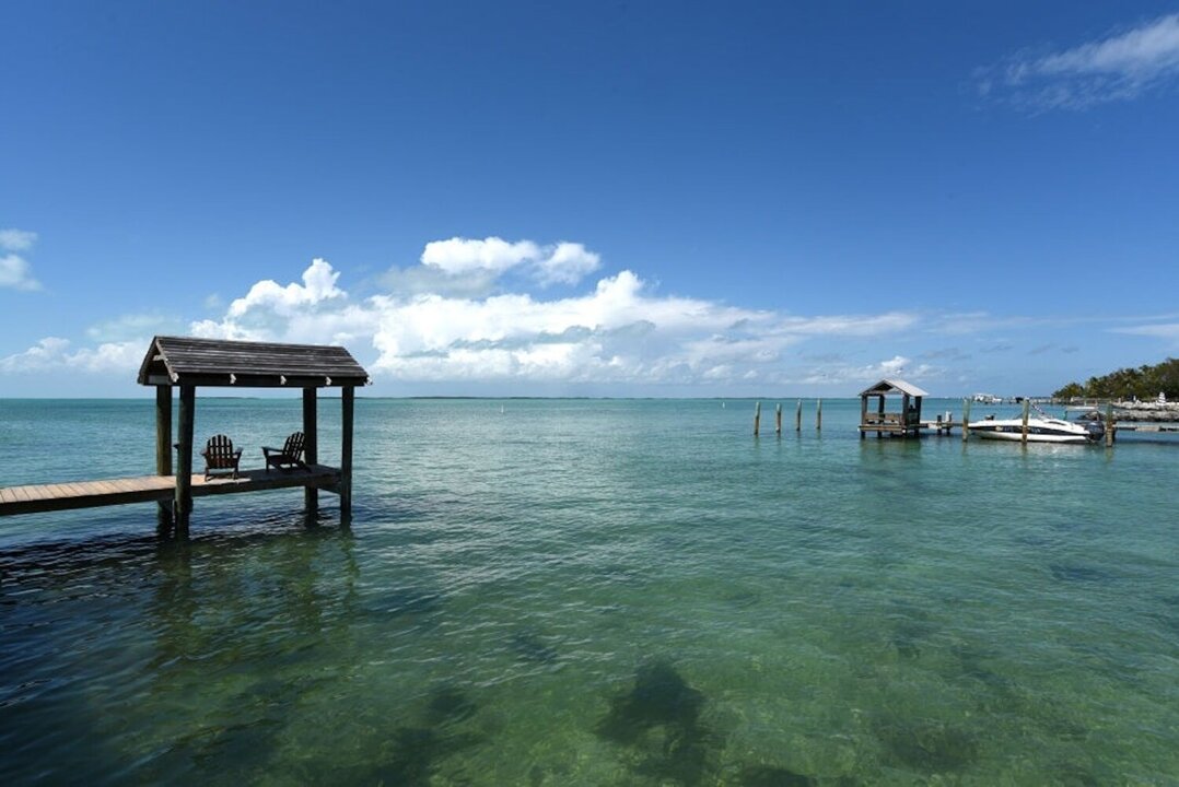 Shark Attack in Florida Keys Injures Young Boy