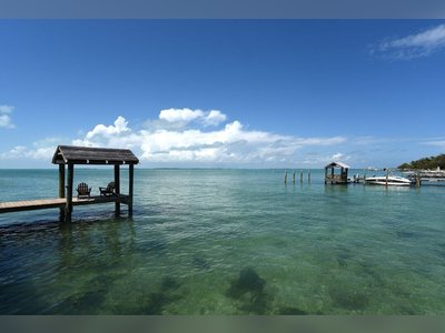 Shark Attack in Florida Keys Injures Young Boy