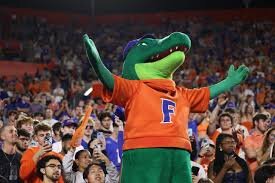 Opinion Piece Highlights Violence in College Football