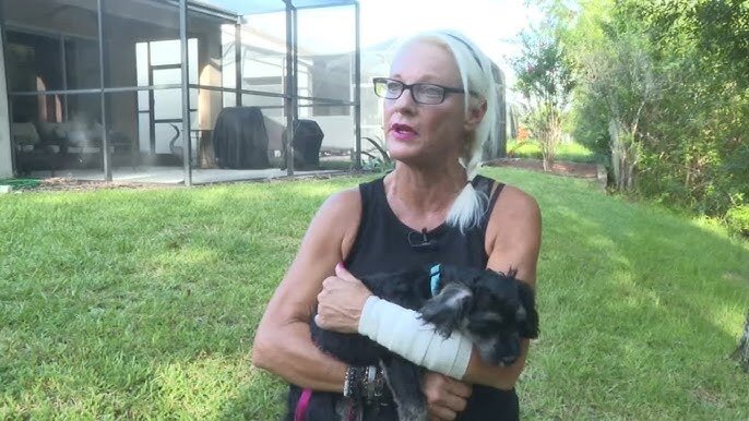 Massachusetts Woman Fights Alligator to Save Puppy in Florida