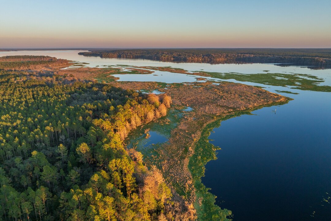 Florida Agencies Request $500 Million for Land Conservation