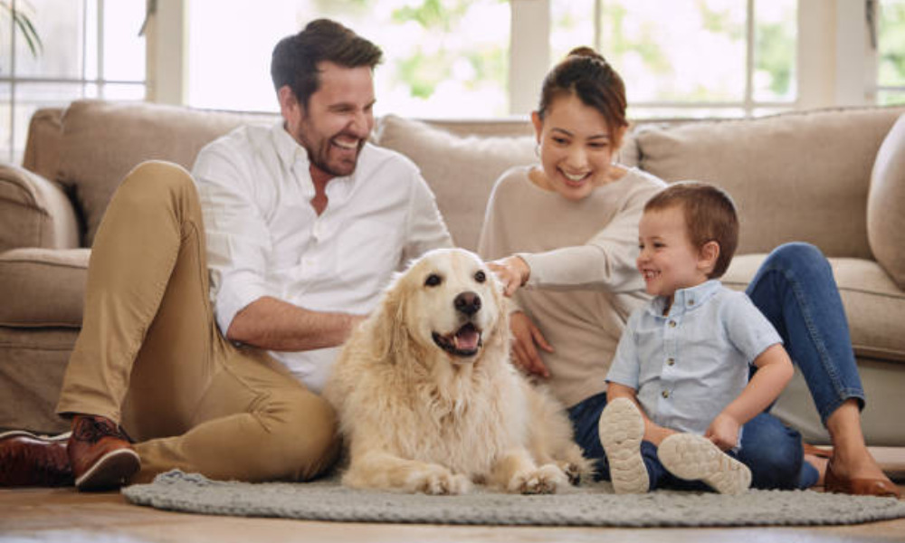 Florida Lawmakers Seek Greater Transparency in Pet Insurance