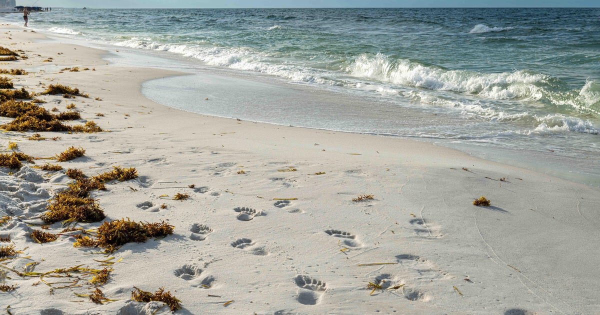 Texas Parents Arrested After Leaving Infant Alone on Florida Beach