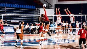 Owls Fall Short Against Florida Atlantic Despite Standout Effort from Greene