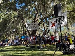 Thousands March Across Florida in 'No Kings' Protests Against Trump