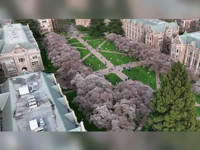 University of Washington Sees Enrollment Rise Across All Campuses Amid Washington-Resident Growth