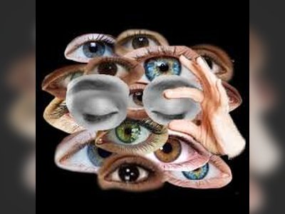 “Woke is Back?” — Liberal Momentum Gains Ground as Symbolic Victories Stack Up Under President Donald Trump