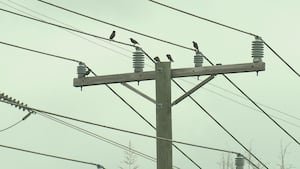 Historic Flooding and Fierce Storms Leave Thousands in Washington Without Power