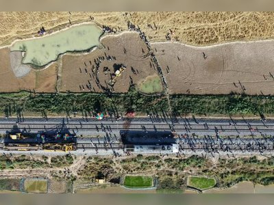 Seven Elephants Killed by Train Collision in Northeast India