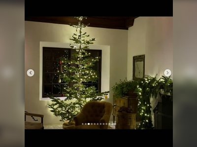 Fifty Trees and Artificial Snow: Kim Kardashian Spent Ten Thousand Dollars on Christmas Decorations