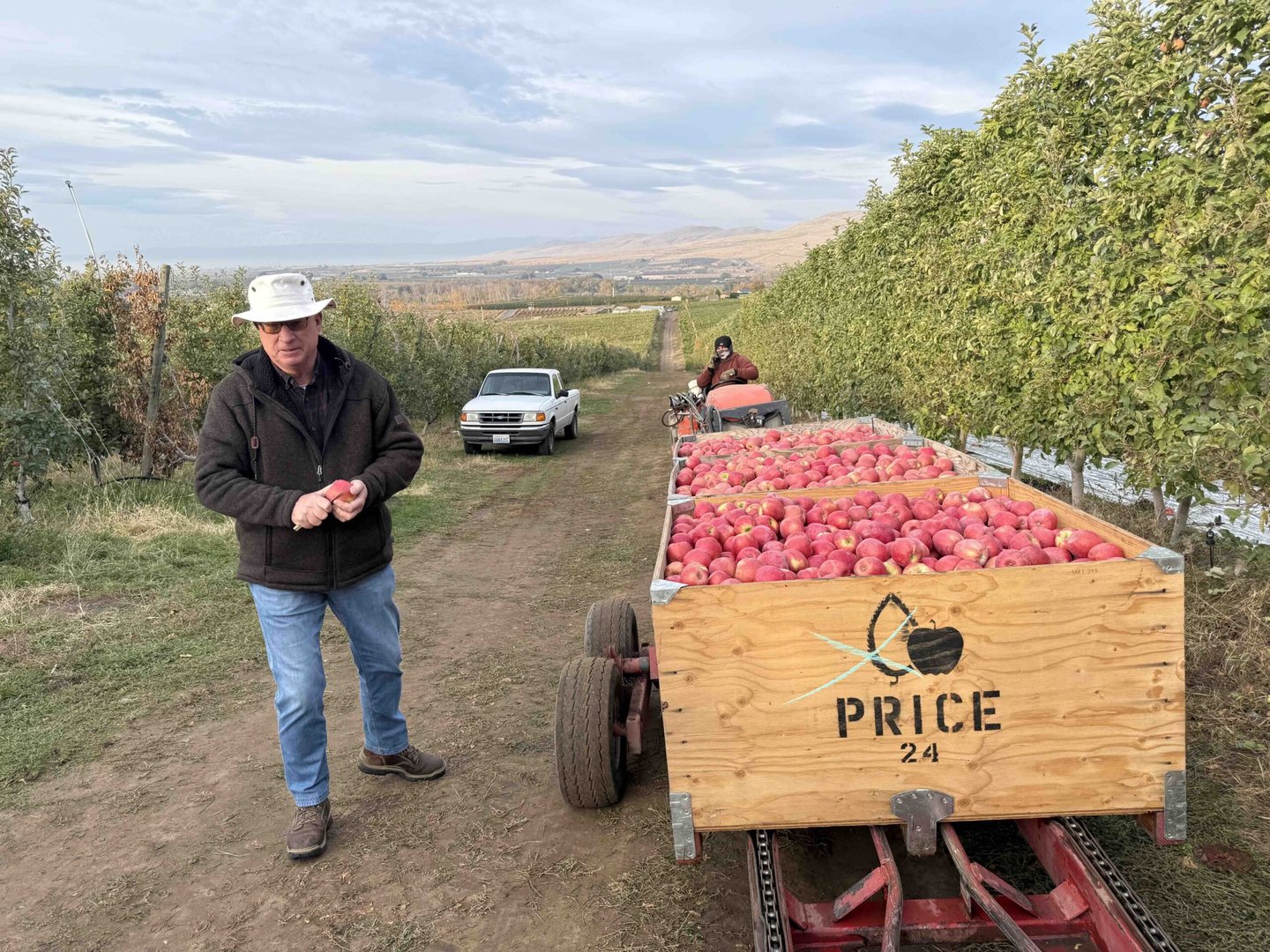 Immigration Enforcement Fears Leave Washington Orchards Struggling as Workers Stay Away