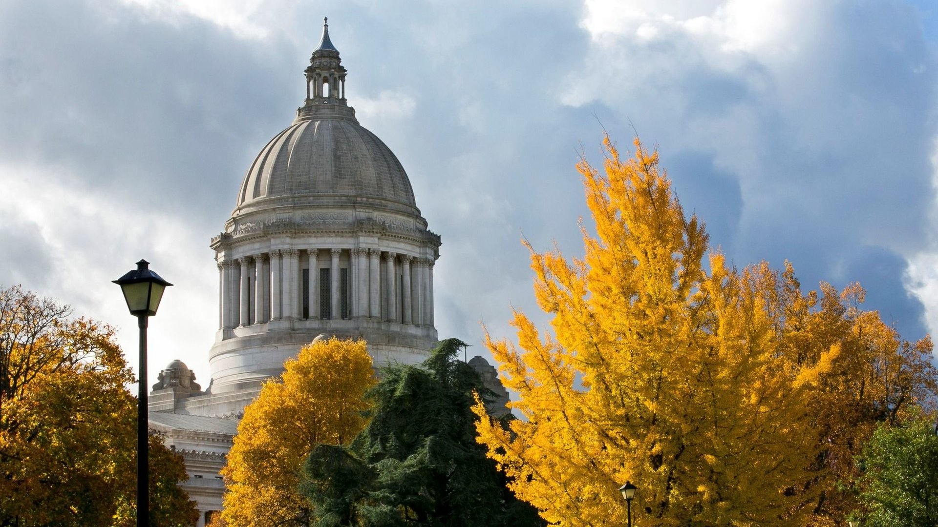 Washington State Political Committee Advances Proposal for Transgender Sports Restrictions