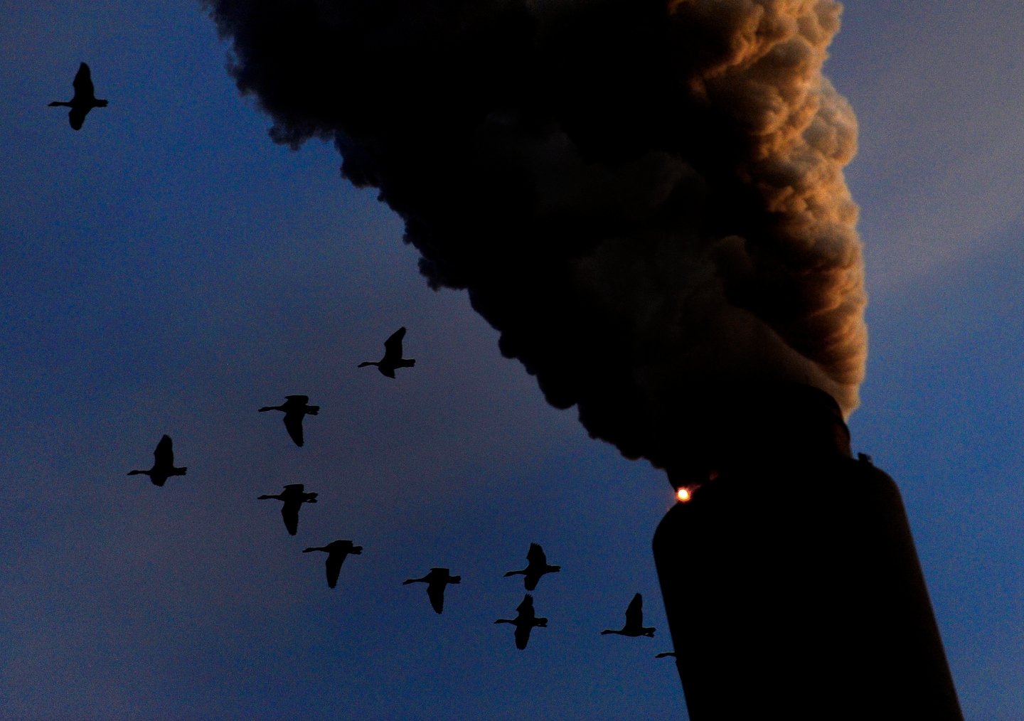 Trump Moves to Repeal Federal Climate Regulatory Authority in Sweeping Policy Shift