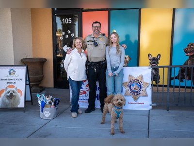 Abandoned Dog at U.S. Airport Finds Home With Responding Police Officer