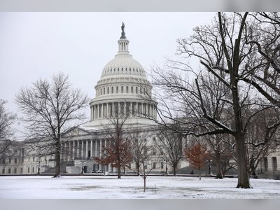 Patchwork Snowstorm Blankets Parts of Washington Region While Sparing Others
