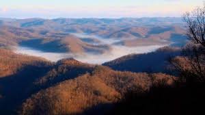 Trump-Era Forest Service Restructuring Leads to Closure of UK Lab Focused on Kentucky Woodland Health