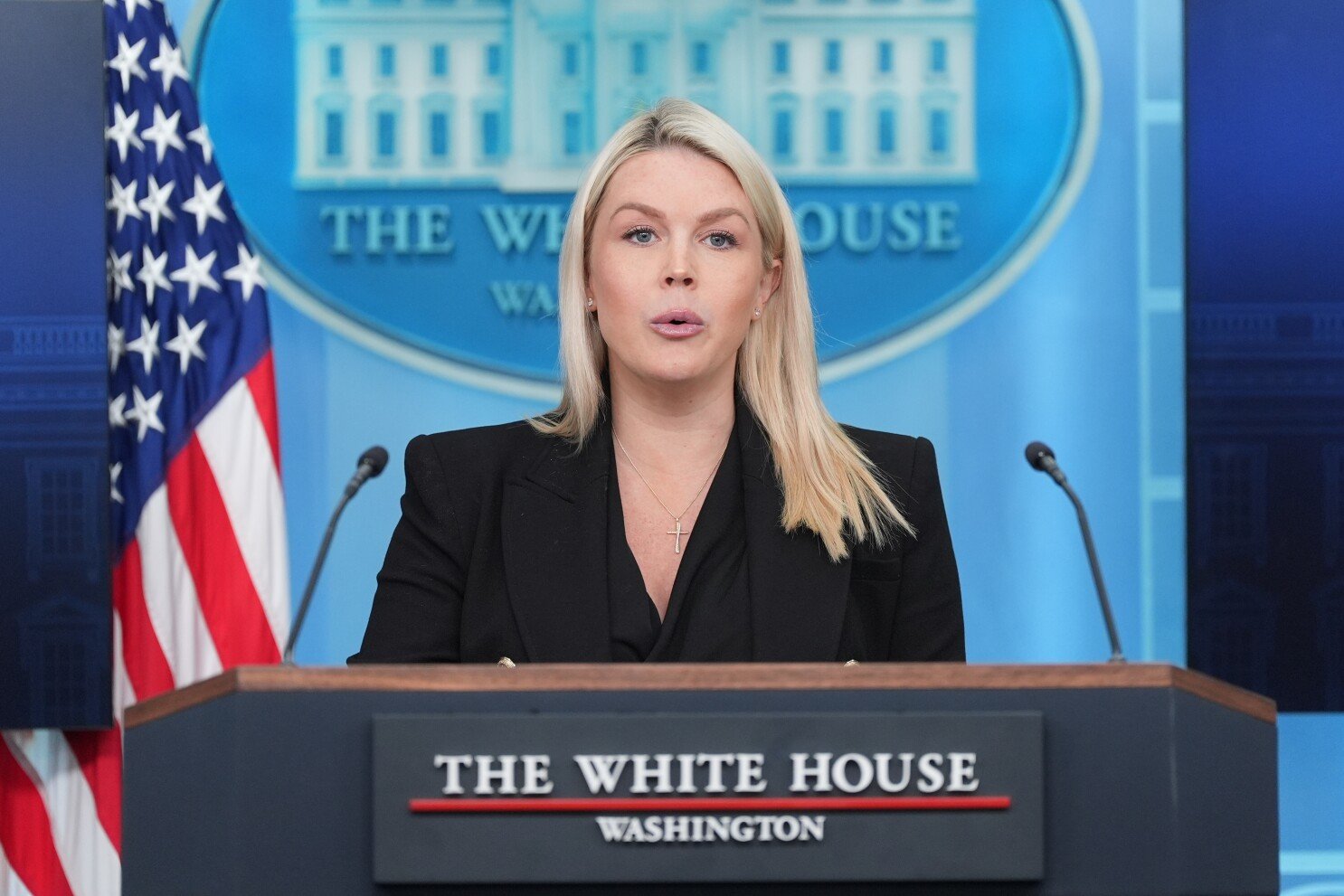 White House Spokesperson Escalates Criticism of Democratic Rhetoric After Washington Dinner Shooting