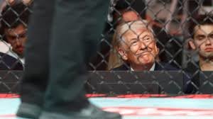 Trump Announces UFC Arena Plan at White House, Escalating Politics of Spectacle