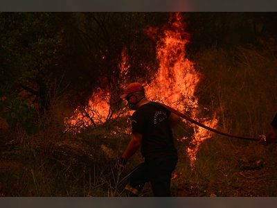 Massive Wildfires Ravage Southern Europe: Fatalities in Greece and Evacuations Across France, Spain, and Turkey